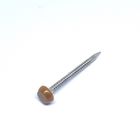 Annular Ring Shank Polytop Nails / Pins Stainless Steel Cladding 40mm
