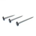 RAL9005 Black 50mm Plastic Head Nails A4 Stainless Steel Ring Shank Nail