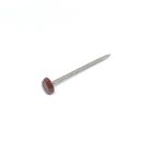 Polished 316 Stainless Steel Ring Shank Plastic Head Nails