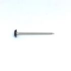 Stainless Steel Ringed Plastic Head Nails For Outside Construction