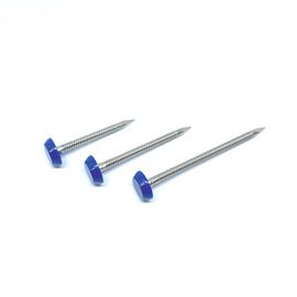 40mm SUS316 Ring Shank Plastic Cap Nails pour la fasce et le soffite de réparation