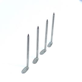 L à angle droit tête Ring Shank Nails inoxydable/clous déformés de jambe