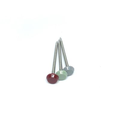Clous en plastique d'acier inoxydable de la tête 316 de diamètre de fil de 2.0MM