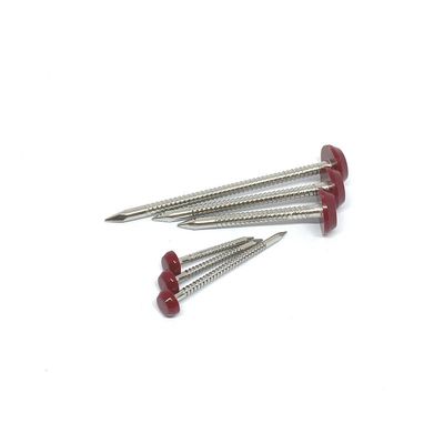 Construction extérieure Diamond Point Plastic Head Nails