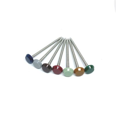 316 acier inoxydable poli Ring Shank Plastic Head Nails