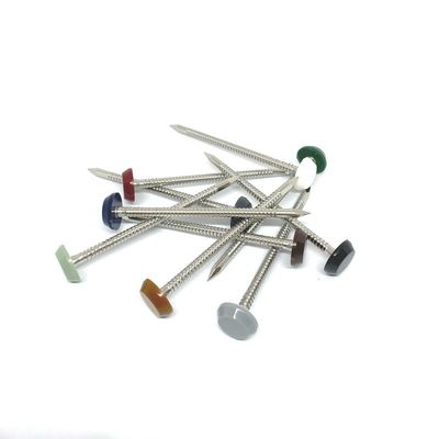 Anti PA6 goupilles en nylon UV d'acier inoxydable de la tête A4