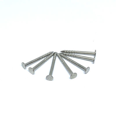 1.6X19MM Ring Shank 316 clous principaux plats d'acier inoxydable