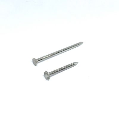 Clous plats à carreaux d'acier inoxydable de la tête 304 de jambe déchiquetée