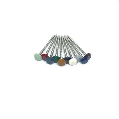 Le chef de plastique d'écurie UV de l'acier inoxydable A4 cloue la tête PA6 en nylon