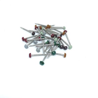 Acier annulaire en nylon 304L de PA6 Ring Plastic Headed Pins Stainless