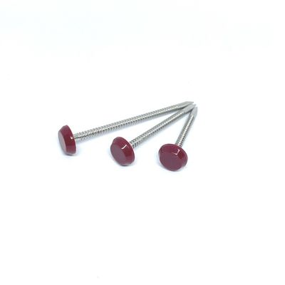 Acier inoxydable A2 Ring Nails Nylon annulaire PA6 de 65MM