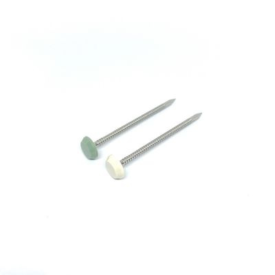Le plastique exempt d'entretien d'acier inoxydable a dirigé la longueur en nylon des clous PA6 50MM