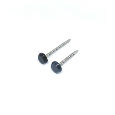 Le chef SUS316 de plastique gris cloue avec Ring Shank Shark Point annulaire