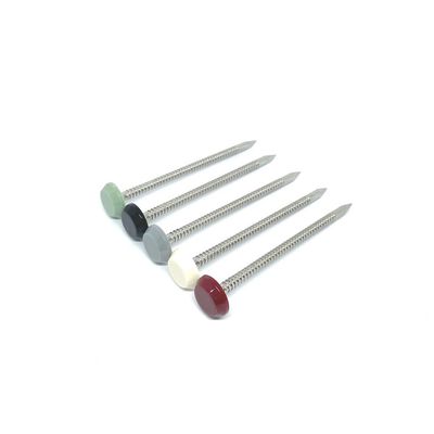 Clous principaux en plastique en nylon de longueur de 65MM avec la jambe baguée