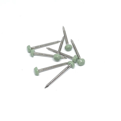 Acier inoxydable A2/A4 Ring Shank Plastic Head Nails 2.0X30mm