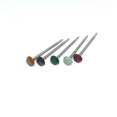 Chef annulaire d'acier inoxydable de la cannelure 316 le poly cloue la longueur de 50MM