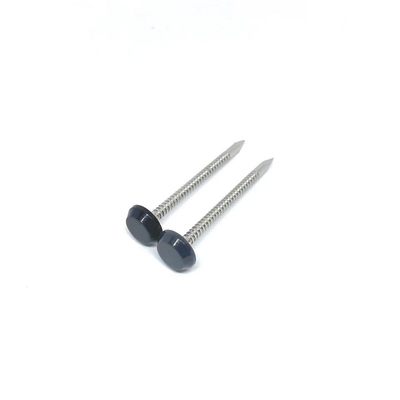 A4 gris anthracite 50MM de noir de l'acier inoxydable Ring Shank Plastic Head Nails
