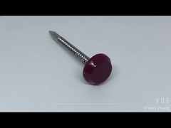 Clou à tête plastique en acier inoxydable